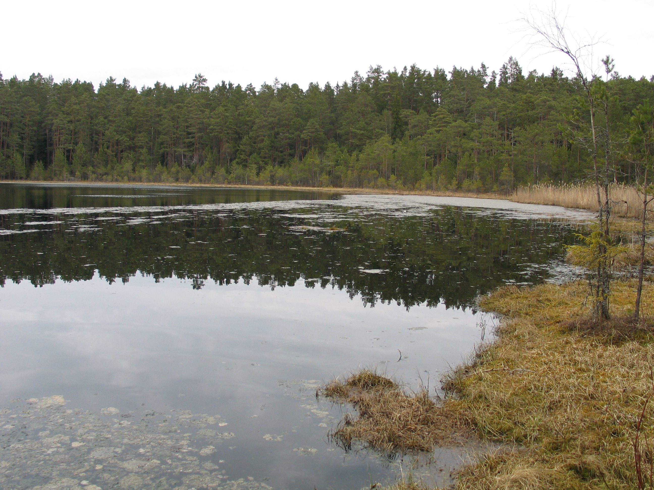 Huumusetoiteline rabajärv