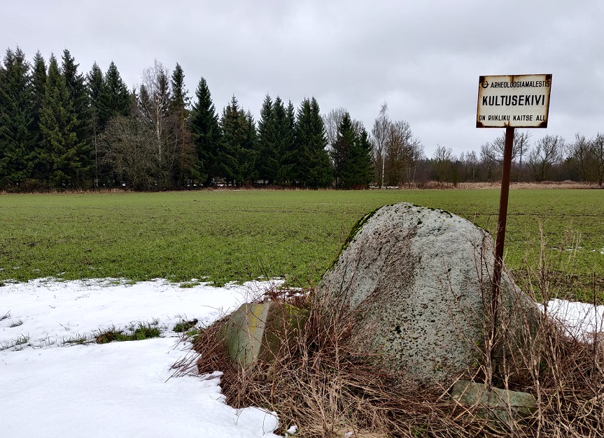 Autor: Margo Pajuste