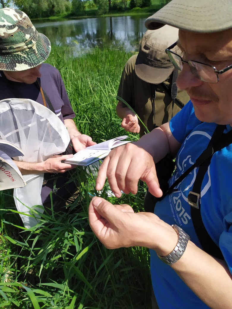 Kiilide vabatahtliku seire metoodikat katsetamas